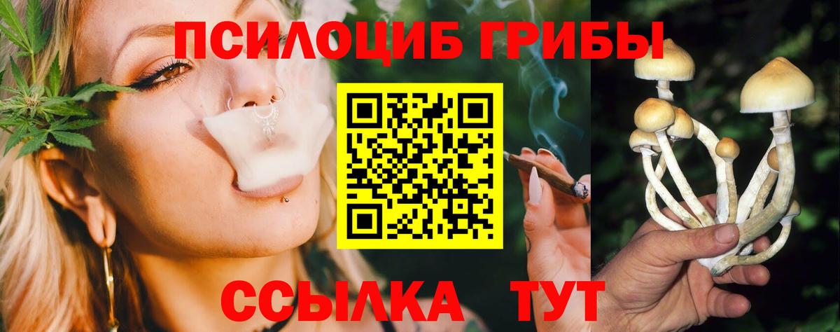Галлюциногенные грибы Magic Shrooms Михайловка